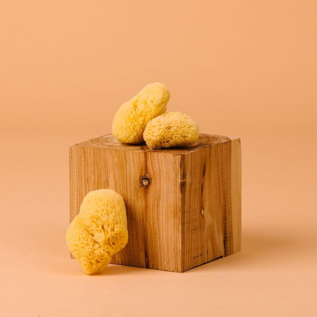Lunar Sponges