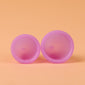 Lunar Cup