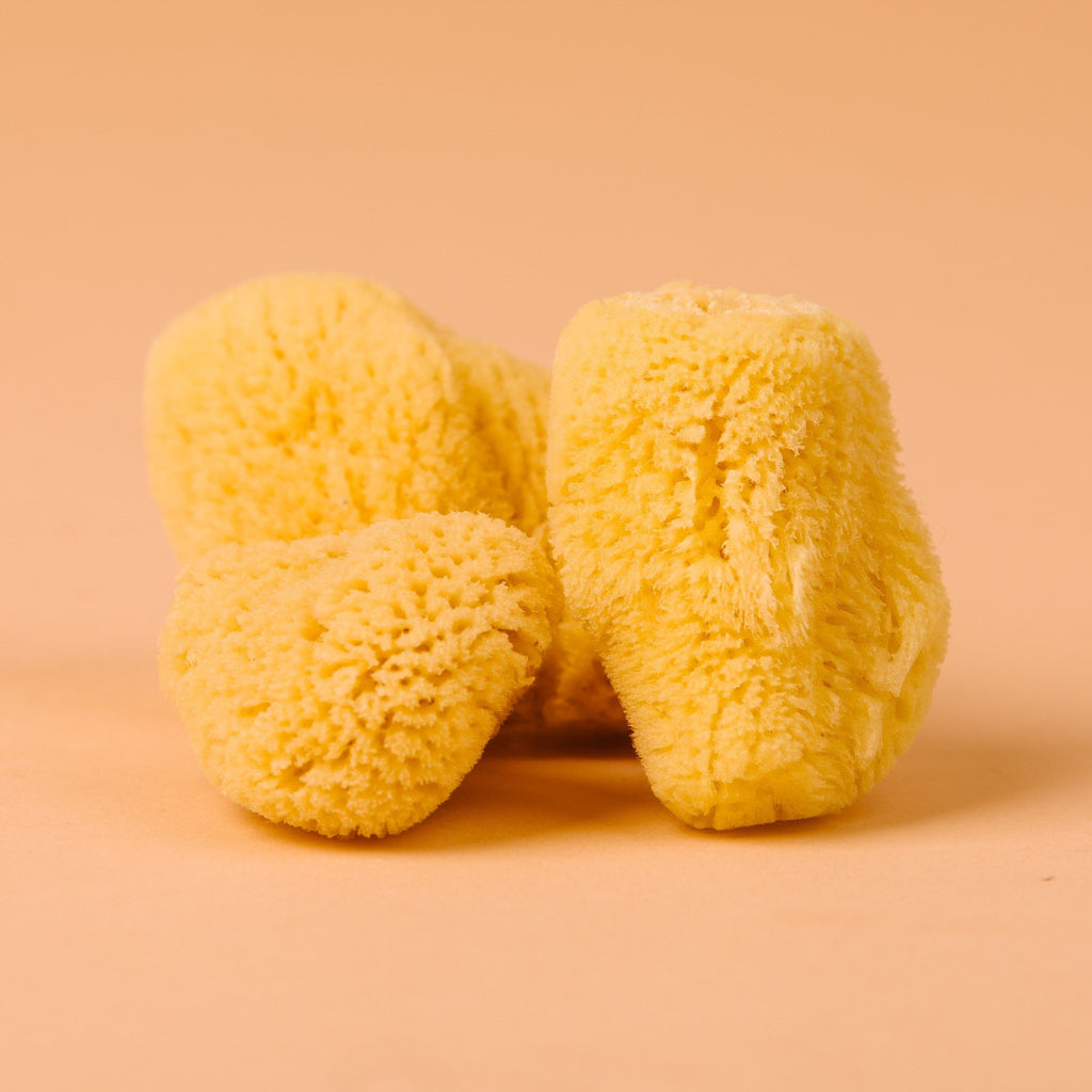 Lunar Sponges