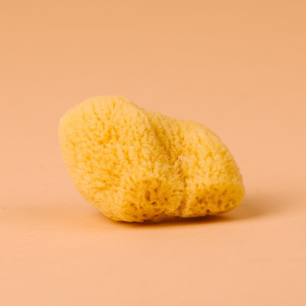 Lunar Sponges