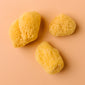 Lunar Sponges