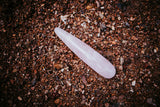 The Petal Wand